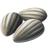 Seeds